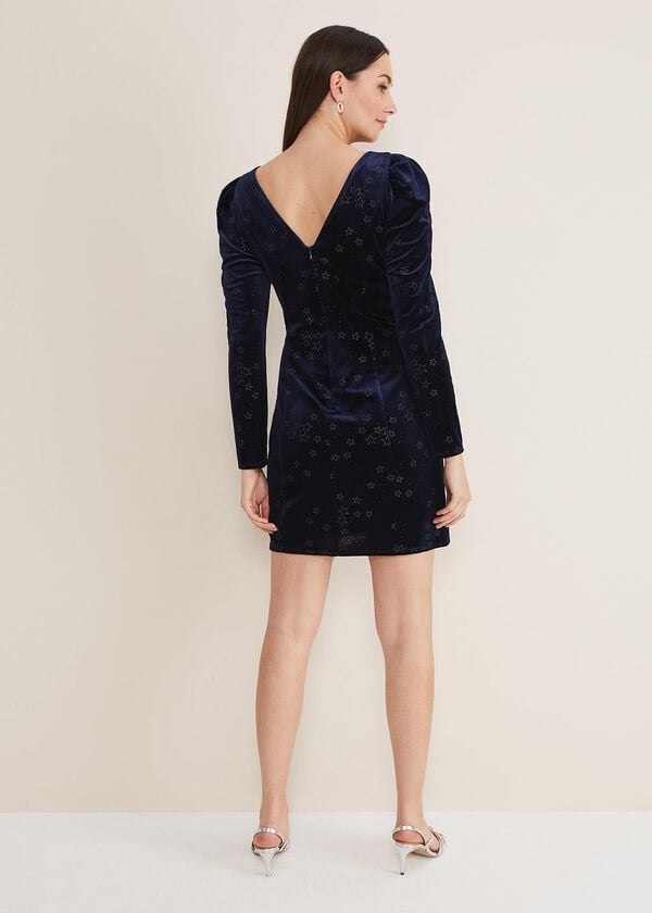Phase Eight Daria Velvet Star Dress