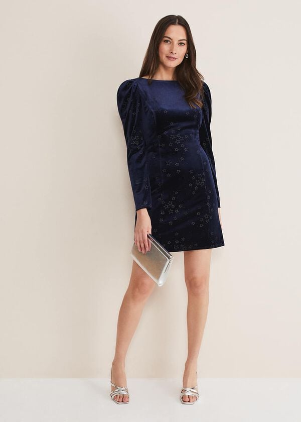 Phase Eight Daria Velvet Star Dress