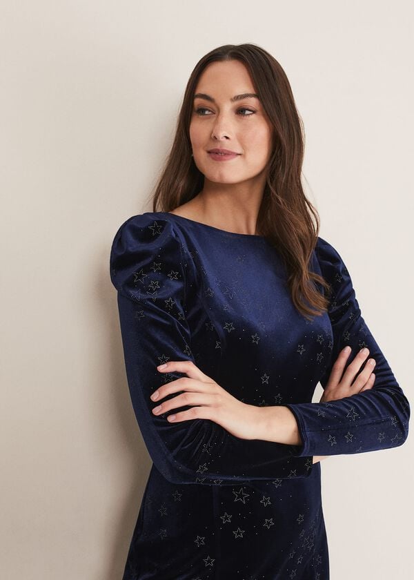 Phase Eight Daria Velvet Star Dress