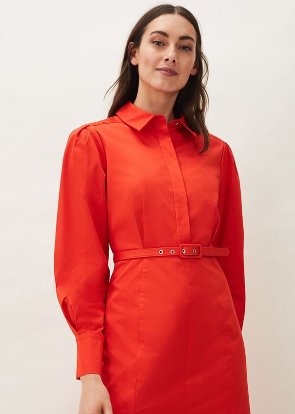 Phase Eight Diana Belted Shirt Dress