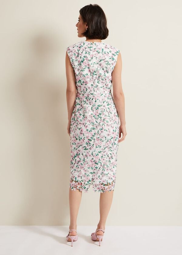 Phase Eight Diana Floral Lace Midi Dress