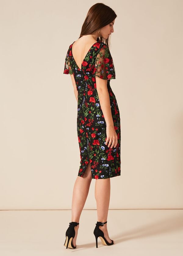Phase Eight Dorothea Embroidered Dress