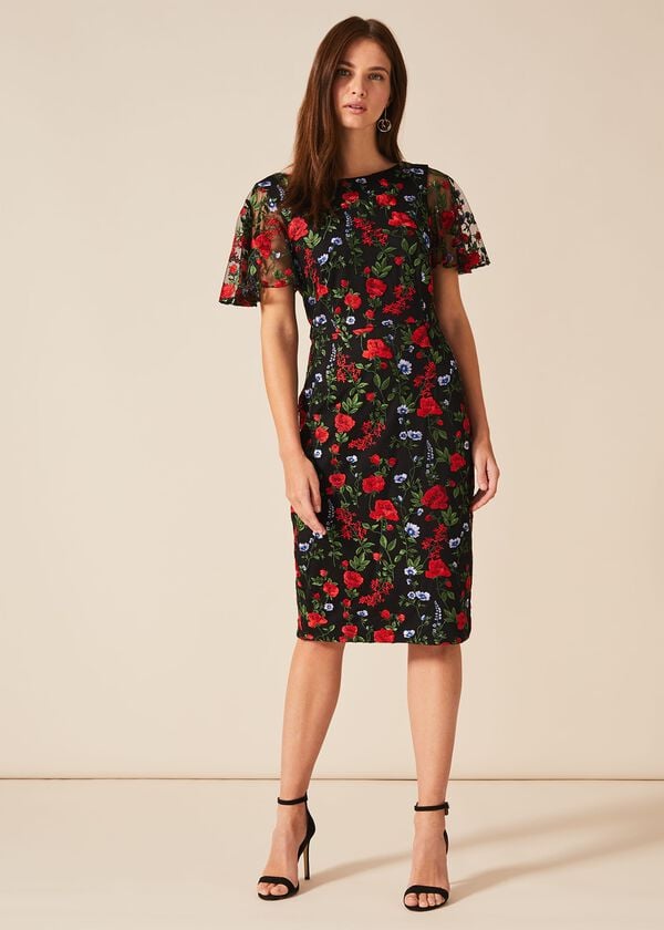 Phase Eight Dorothea Embroidered Dress