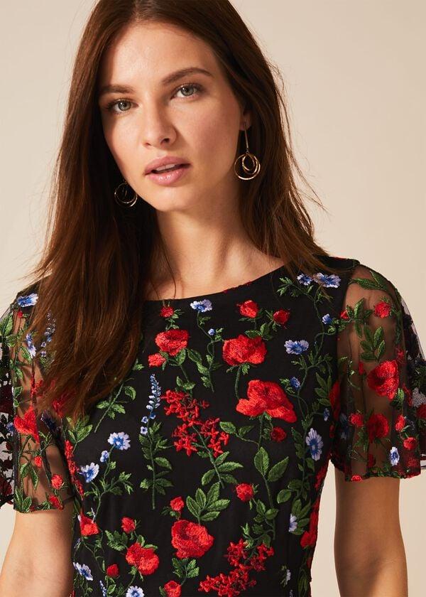 Phase Eight Dorothea Embroidered Dress