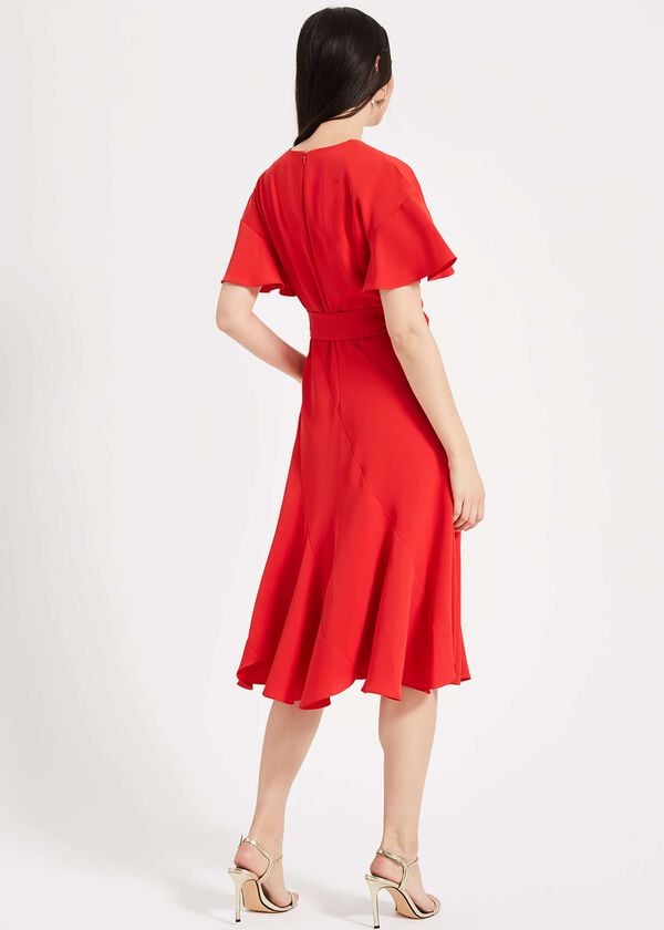 Phase Eight Elena Panelled Dress