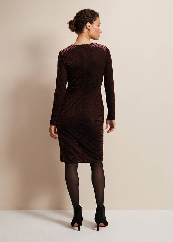 Phase Eight Elina Velvet Burnout Dress