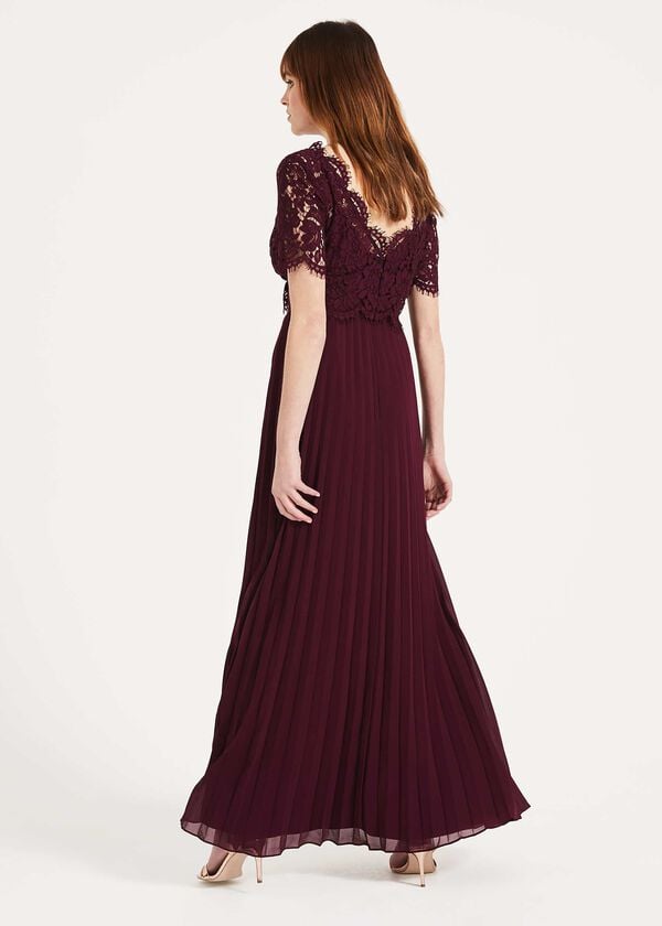 Phase Eight Elisabetta Lace Pleated Dress