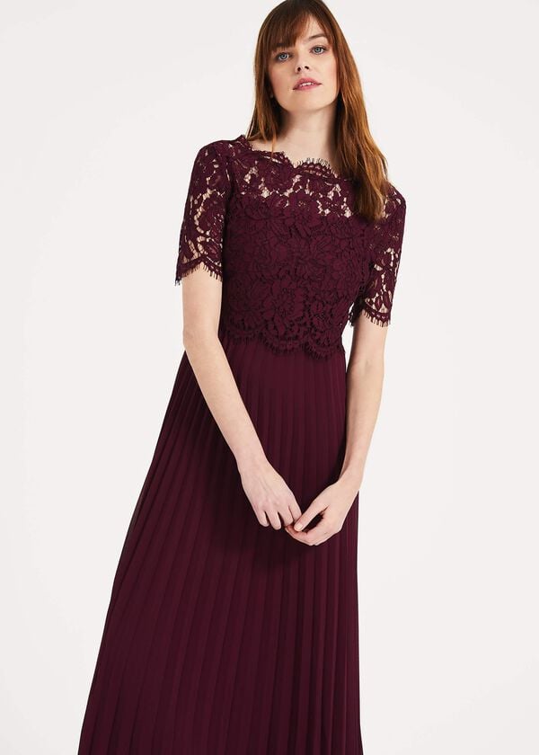 Phase Eight Elisabetta Lace Pleated Dress