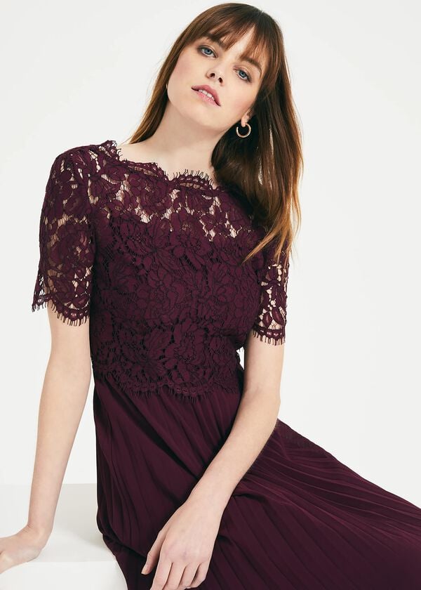 Phase Eight Elisabetta Lace Pleated Dress