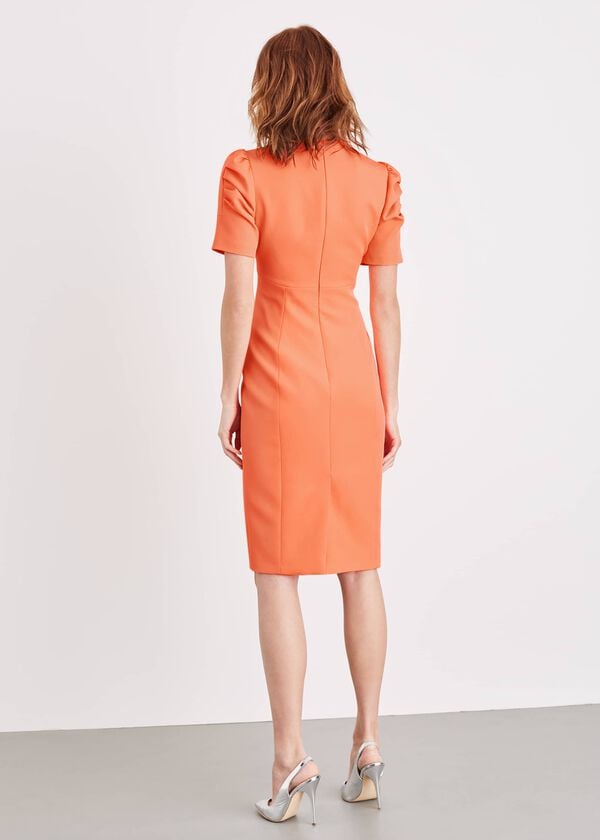 Phase Eight Ella-Mai Fitted Dress