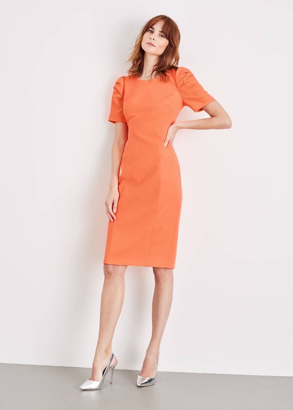 Phase Eight Ella-Mai Fitted Dress