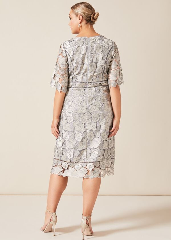 Phase Eight Ellis Lace Dress