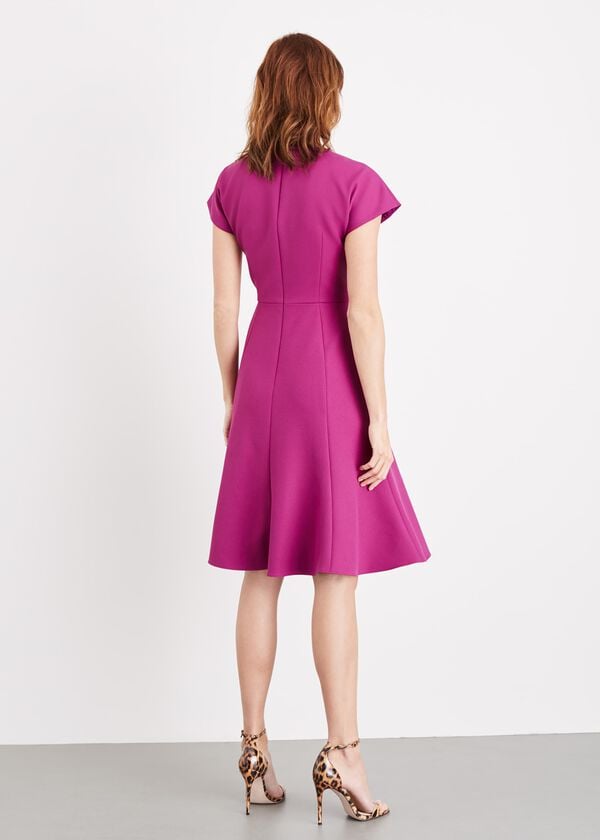 Phase Eight Enya Dress