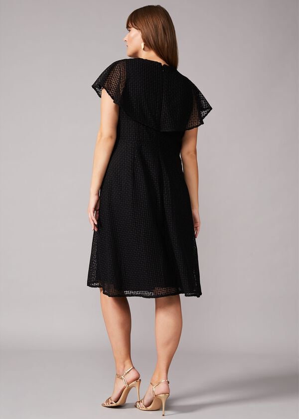 Phase Eight Esmae Geo Lace Dress