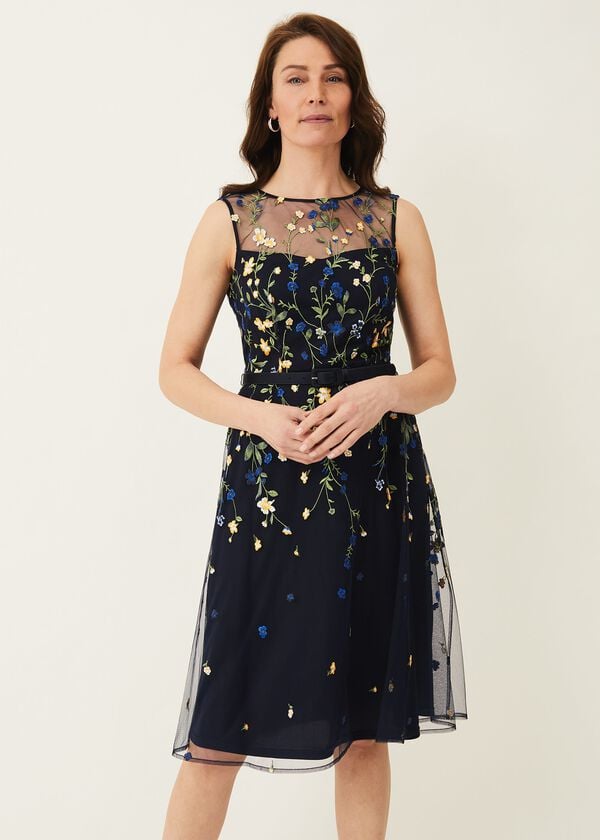 Phase Eight Esmeralda Embroidered Fit & Flare Dress