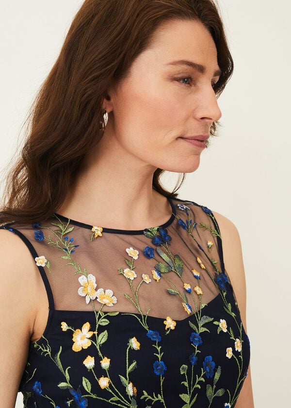 Phase Eight Esmeralda Embroidered Fit & Flare Dress