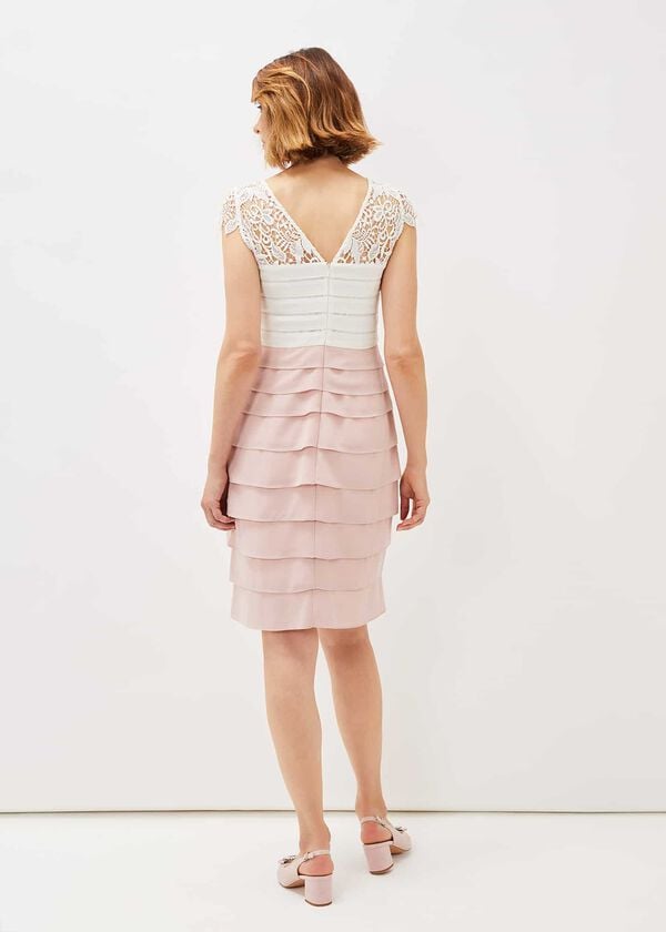 Phase Eight Faith Contrast Fitted Dress