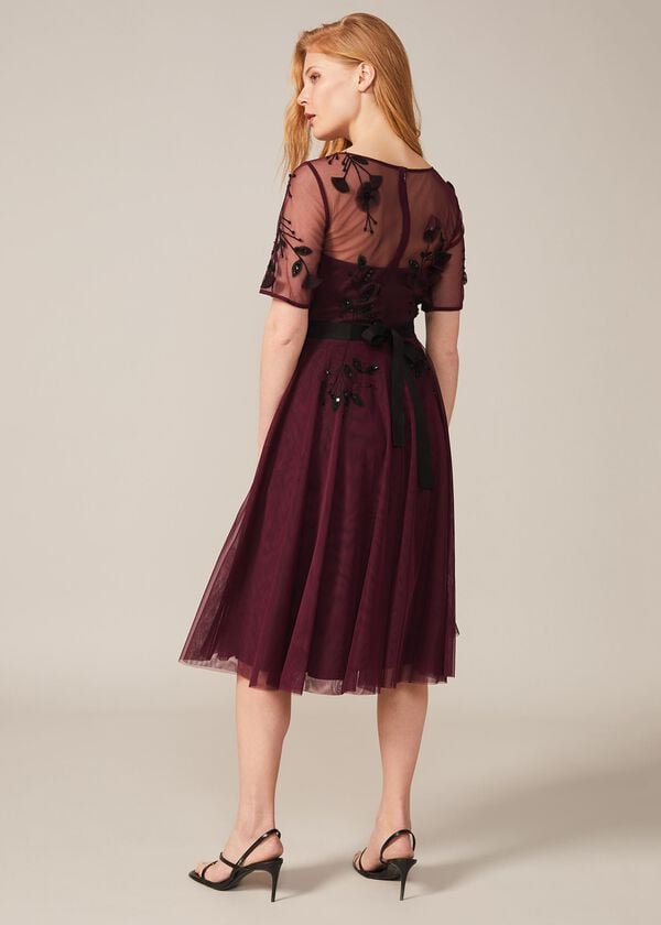 Phase Eight Felicia Embroidered Tulle Dress