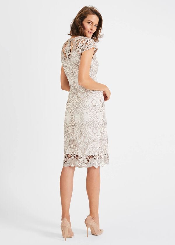 Phase Eight Frances Lace Dress