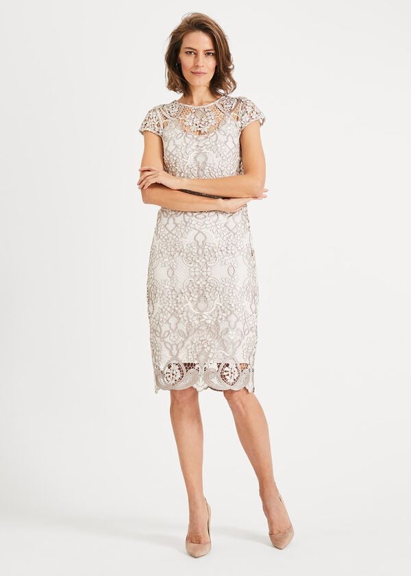 phase eight Frances Lace Dress