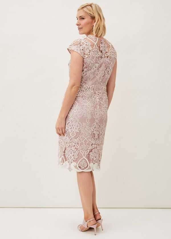 Phase Eight Frances Lace Fitted Dress
