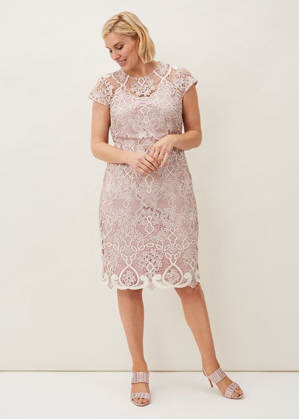 Phase Eight Frances Lace Fitted Dress