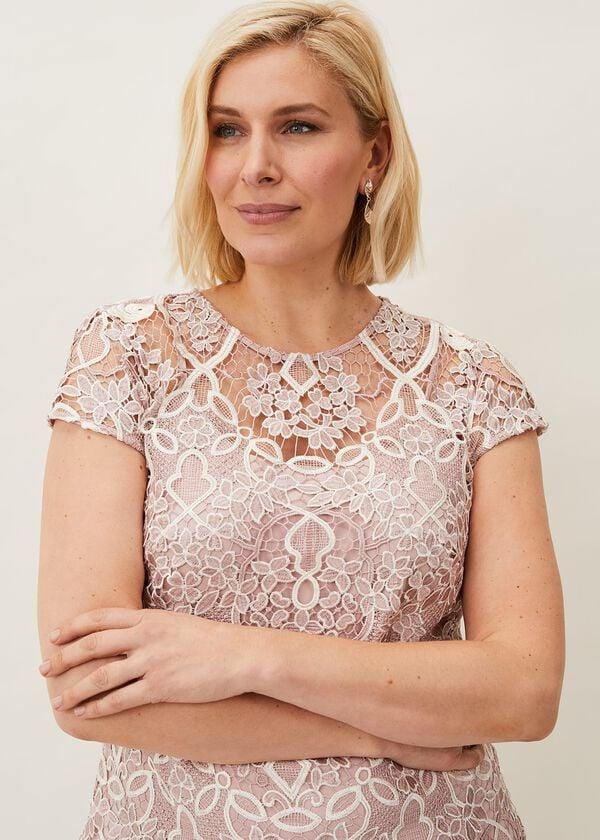 Phase Eight Frances Lace Fitted Dress