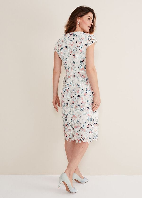 Phase Eight Franky Floral Lace Dress