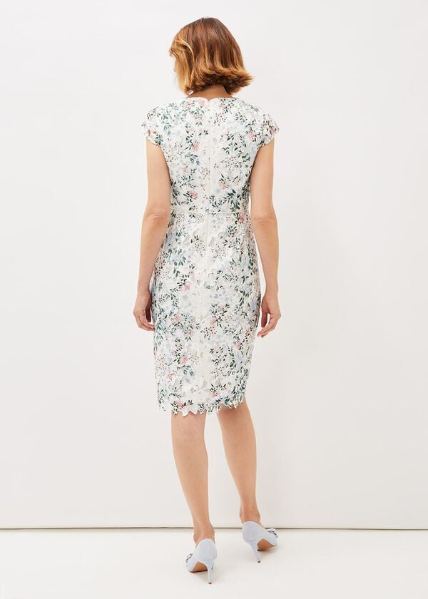 Phase Eight Franky Floral Lace Fitted Dress