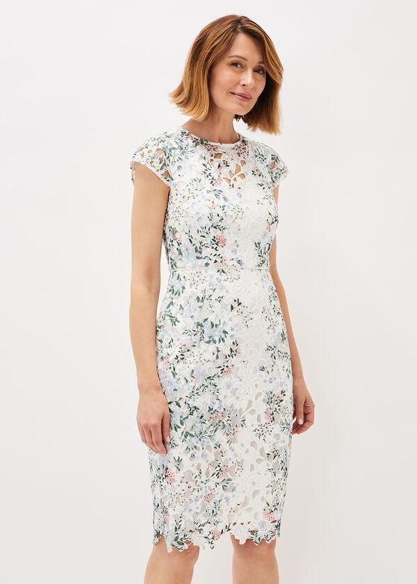 Phase Eight Franky Floral Lace Fitted Dress
