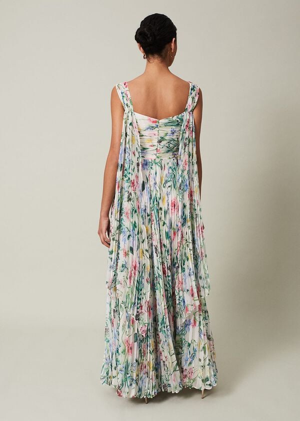 Phase Eight Gretel Floral Pleated Maxi Dress