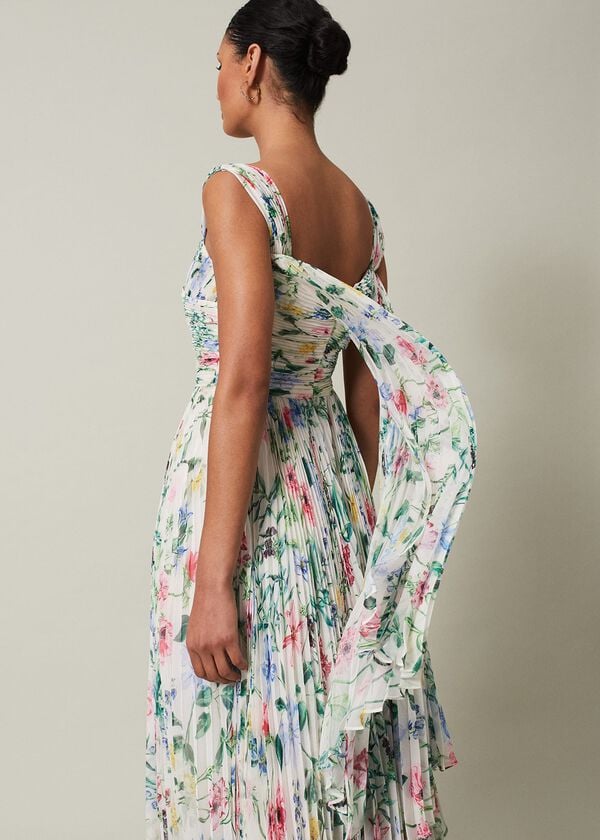 Phase Eight Gretel Floral Pleated Maxi Dress