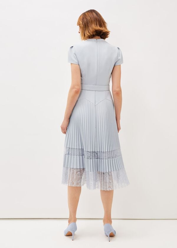 Phase Eight Hannah Pleated Lace Dress