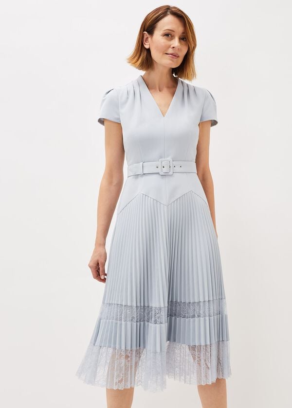 phase eight Hannah Pleated Lace Dress