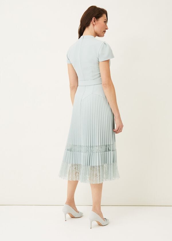 Phase Eight Hannah Pleated Lace Insert Dress