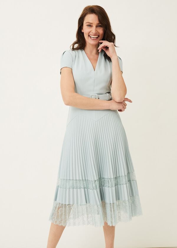 Phase Eight Hannah Pleated Lace Insert Dress