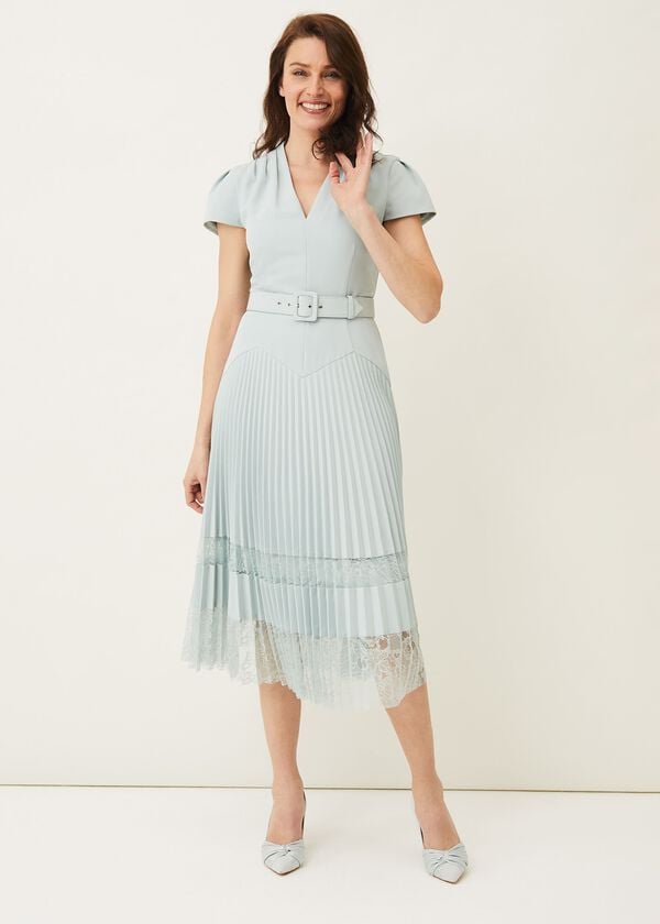 phase eight Hannah Pleated Lace Insert Dress