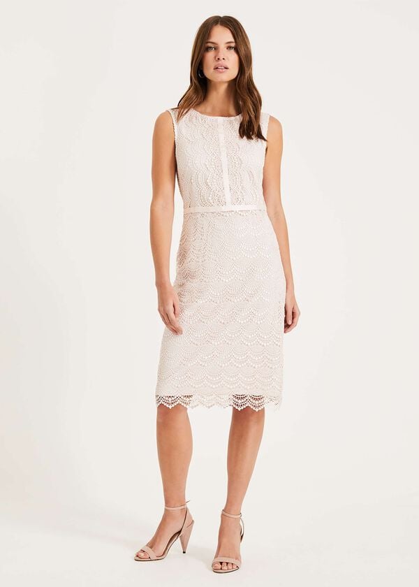 phase eight Helga Scallop Lace Dress