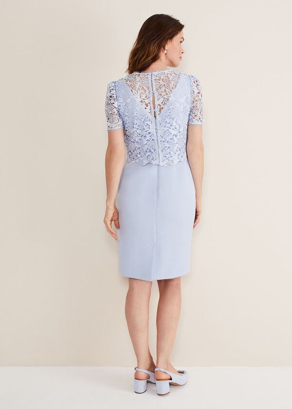 Phase Eight Isabella Lace Midi Dress