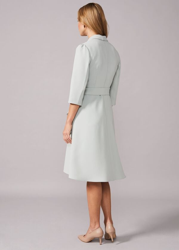 Phase Eight Jaiden Belted Flared Dress