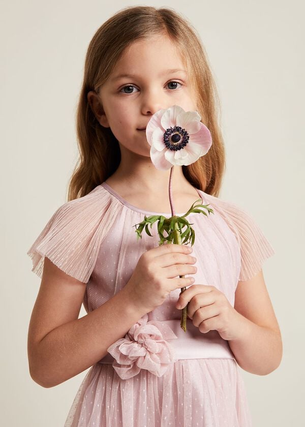 Phase Eight Jasmine Tulle Fit And Flare Dress