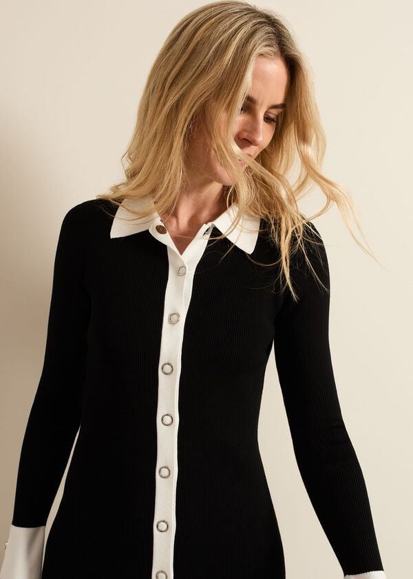 Phase Eight Jennifer Tube Shirt Dress