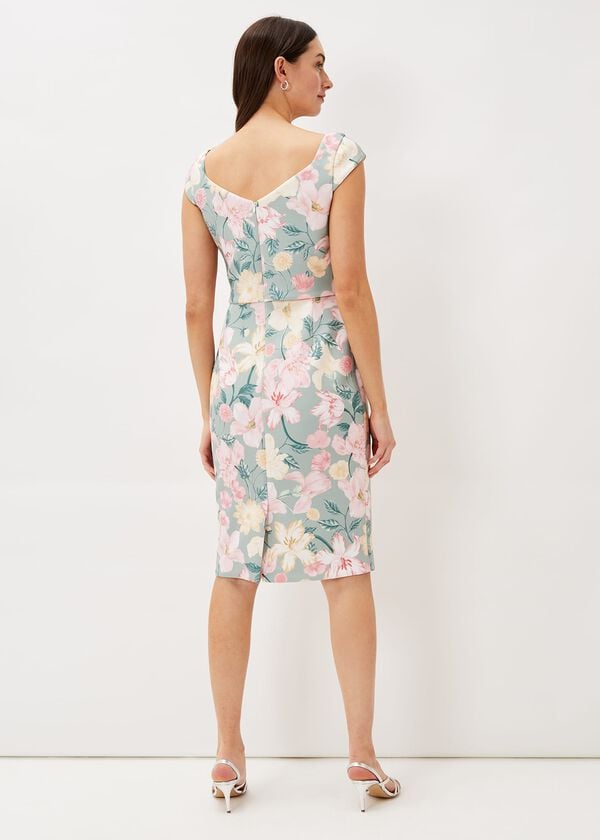 Phase Eight Jessia Floral Scuba Dress