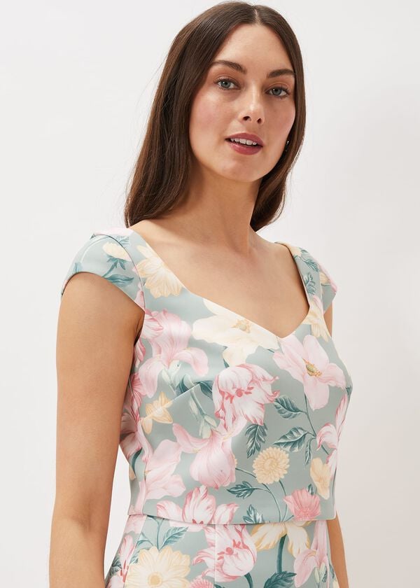 Phase Eight Jessia Floral Scuba Dress