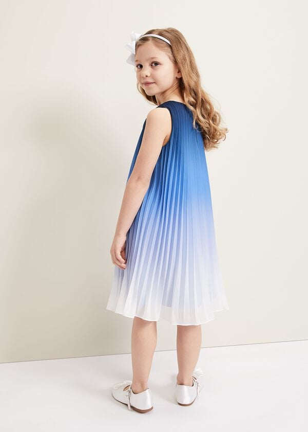Phase Eight Jessie Ombre Pleat Dress
