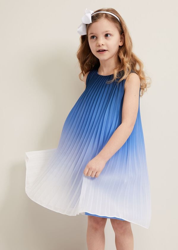 Phase Eight Jessie Ombre Pleat Dress