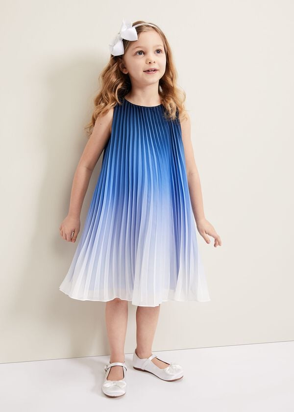 phase eight Jessie Ombre Pleat Dress