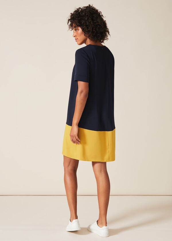 Phase Eight Jodie Colourblock Dress