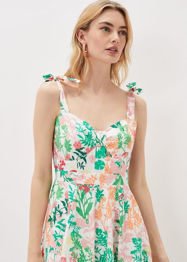 Phase Eight Joyce Printed Fit & Flare Dress