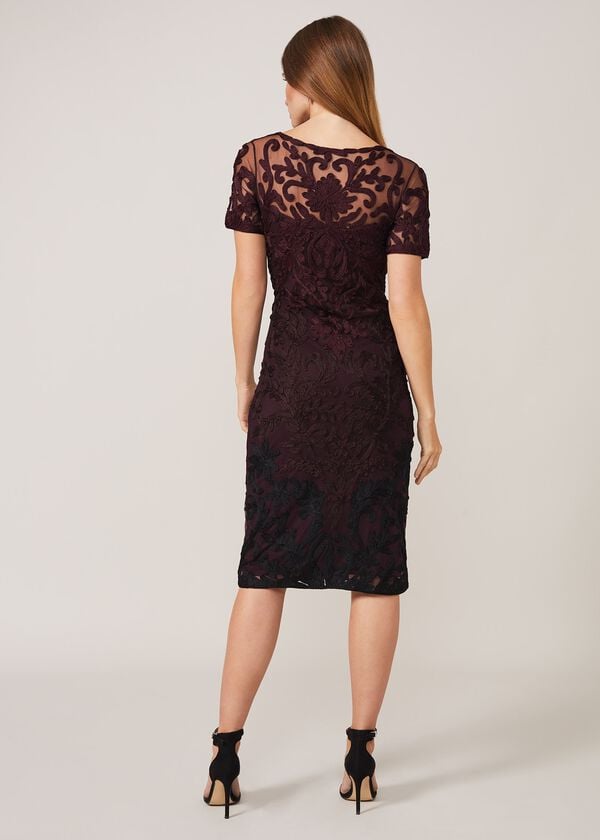 Phase Eight Kadie Cap Sleeve Tapework Dress